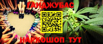 гидра Заволжье