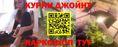 mdpv Заводоуковск