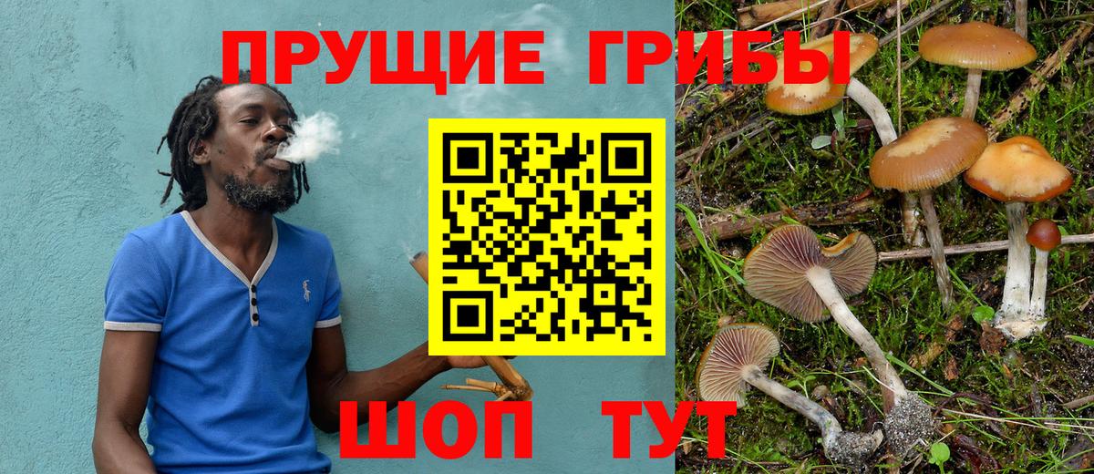 Псилоцибиновые грибы мухоморы Губкин