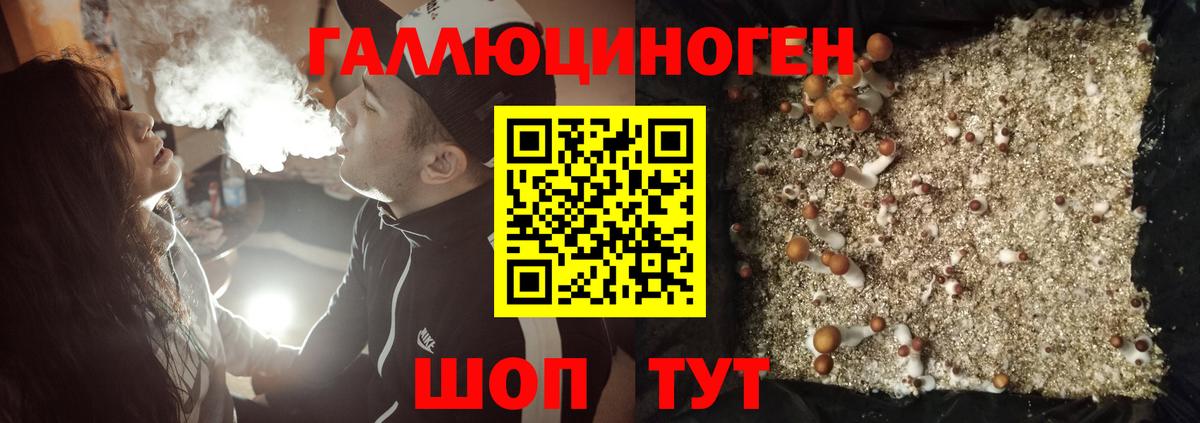 Губкин  Псилоцибиновые грибы ЛСД  Вход с VPN 
