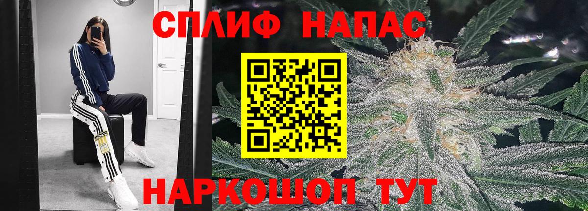 Шишки марихуана план Губкин
